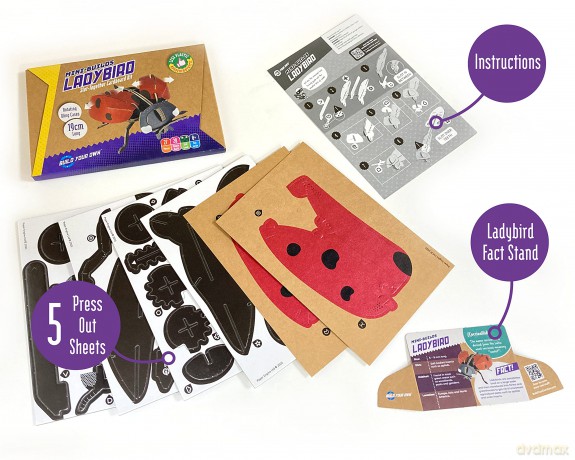 Build Your Own Beautiful Ladybird - Pull Tab Rotating Wing Action - Eco Friendly Cardboard Craft Kit - Ages 8+ [KSIĄŻKA]