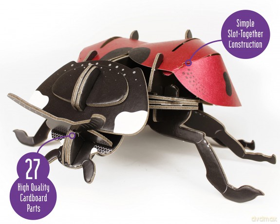 Build Your Own Beautiful Ladybird - Pull Tab Rotating Wing Action - Eco Friendly Cardboard Craft Kit - Ages 8+ [KSIĄŻKA]