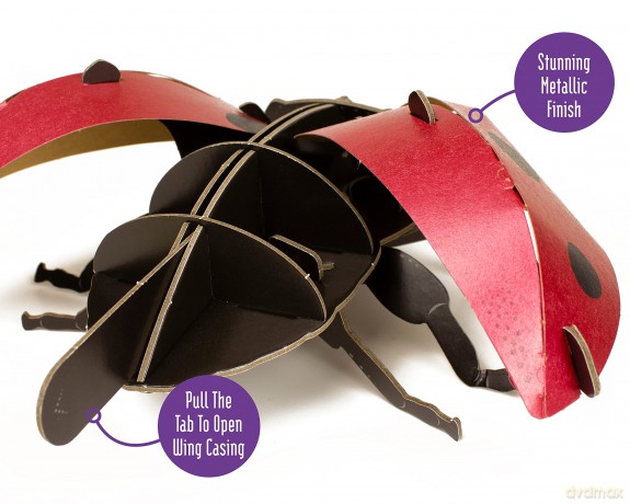Build Your Own Beautiful Ladybird - Pull Tab Rotating Wing Action - Eco Friendly Cardboard Craft Kit - Ages 8+ [KSIĄŻKA]