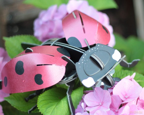 Build Your Own Beautiful Ladybird - Pull Tab Rotating Wing Action - Eco Friendly Cardboard Craft Kit - Ages 8+ [KSIĄŻKA]