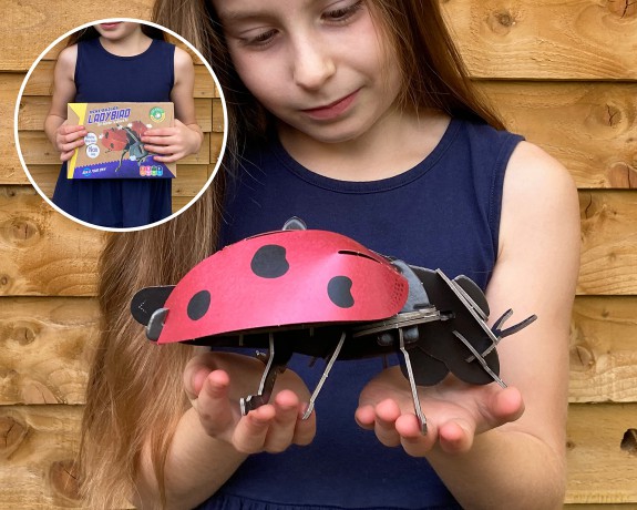 Build Your Own Beautiful Ladybird - Pull Tab Rotating Wing Action - Eco Friendly Cardboard Craft Kit - Ages 8+ [KSIĄŻKA]