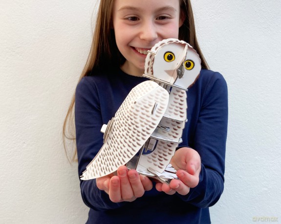 Build Your Own Moving Snowy Owl - Rotating Head Action - Eco Friendly Cardboard Craft Kit - Ages 8+ [KSIĄŻKA]