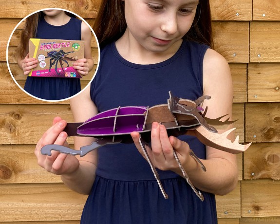 Build Your Own Striking Stag Beetle - Pull Tab Pincer Snapping Action - Eco Friendly Cardboard Craft Kit - Ages 8+ [PUZZLE]