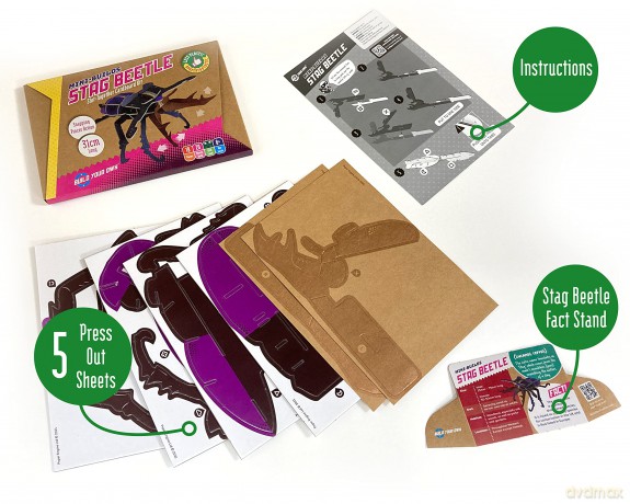 Build Your Own Striking Stag Beetle - Pull Tab Pincer Snapping Action - Eco Friendly Cardboard Craft Kit - Ages 8+ [PUZZLE]
