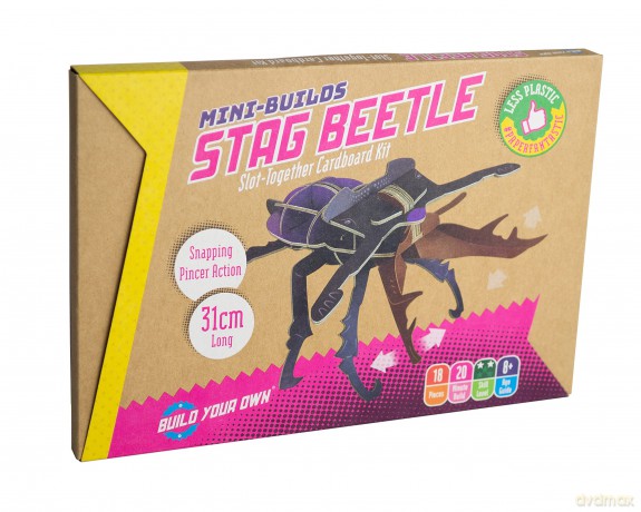 Build Your Own Striking Stag Beetle - Pull Tab Pincer Snapping Action - Eco Friendly Cardboard Craft Kit - Ages 8+ [PUZZLE]