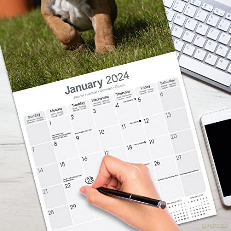 Bulldog Calendar 2024 | Square Dog Breed Wall Calendar - 16 Month [KALENDARZ]