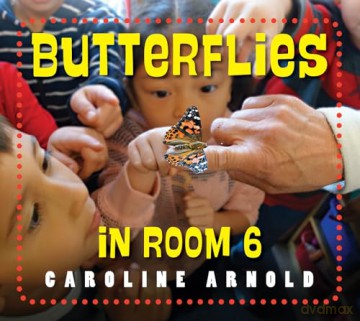 Butterflies in Room 6: See How They Grow (Life Cycles in Room 6) - Caroline Arnold [KSIĄŻKA]