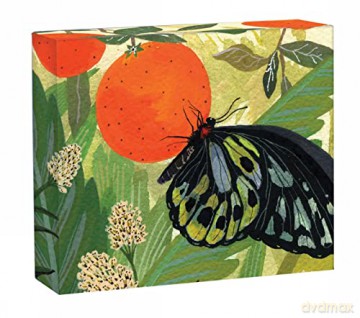 Butterflies: Quicknotes - Becca Stadtlander [KSIĄŻKA]