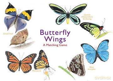 Butterfly Wings: A Matching Game - Christine Berrie [KSIĄŻKA]