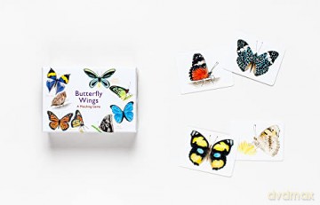 Butterfly Wings: A Matching Game - Christine Berrie [KSIĄŻKA]