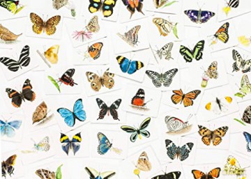 Butterfly Wings: A Matching Game - Christine Berrie [KSIĄŻKA]