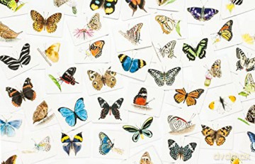 Butterfly Wings: A Matching Game - Christine Berrie [KSIĄŻKA]