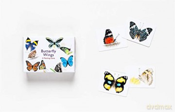 Butterfly Wings: A Matching Game - Christine Berrie [KSIĄŻKA]