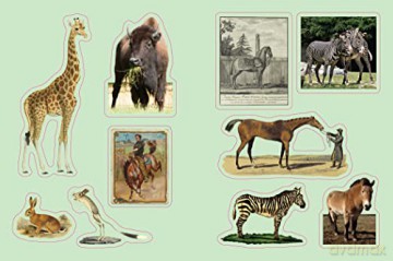 Cabinet of Curiosities: Over 1,000 Curated Stickers from the Fascinating Collections of the Smithsonian - Smithsonian Institution [KSIĄŻKA]