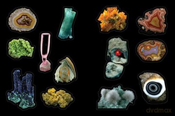 Cabinet of Curiosities: Over 1,000 Curated Stickers from the Fascinating Collections of the Smithsonian - Smithsonian Institution [KSIĄŻKA]