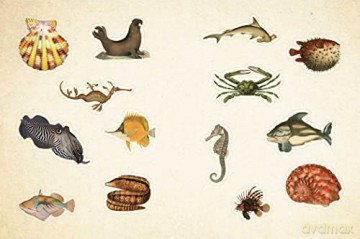 Cabinet of Curiosities: Over 1,000 Curated Stickers from the Fascinating Collections of the Smithsonian - Smithsonian Institution [KSIĄŻKA]