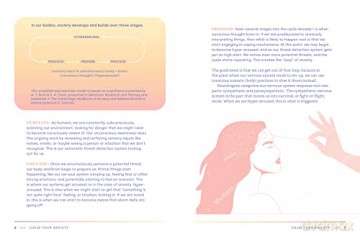 Calm Your Anxiety Journal: Take Control of Your Anxiety and Quiet Your Mind: 12 (Everyday Inspiration Journals) - Ms. Liza Kindred [KALENDARZ]