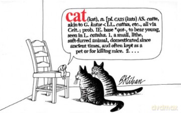 Cat - B. Kliban [KOMIKS]