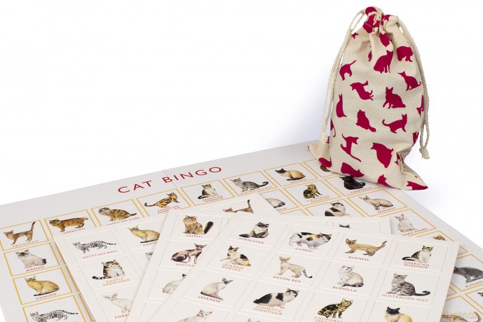 Cat Bingo (Magma for Laurence King) - Marcel George [KSIĄŻKA]