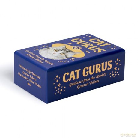Cat Gurus (Mini Deck): Guidance from the World's Greatest Felines - Liz Faber [KSIĄŻKA]