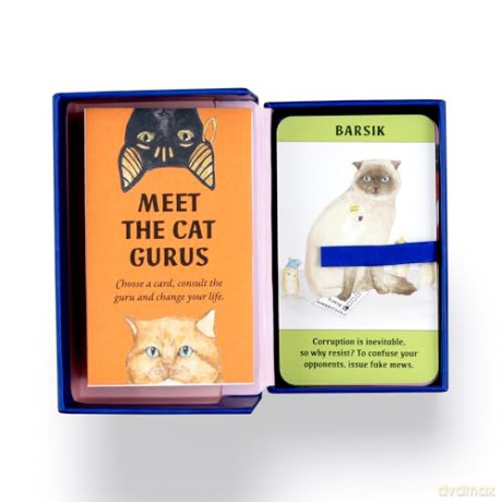 Cat Gurus (Mini Deck): Guidance from the World's Greatest Felines - Liz Faber [KSIĄŻKA]