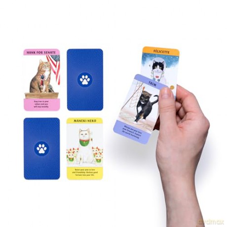 Cat Gurus (Mini Deck): Guidance from the World's Greatest Felines - Liz Faber [KSIĄŻKA]