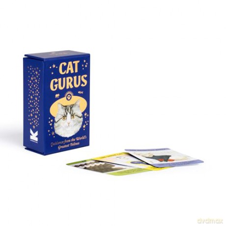 Cat Gurus (Mini Deck): Guidance from the World's Greatest Felines - Liz Faber [KSIĄŻKA]