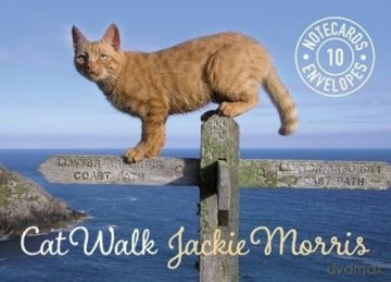 Cat Walk Notecards - Jackie Morris [KALENDARZ]
