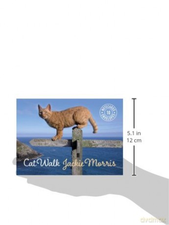 Cat Walk Notecards - Jackie Morris [KALENDARZ]