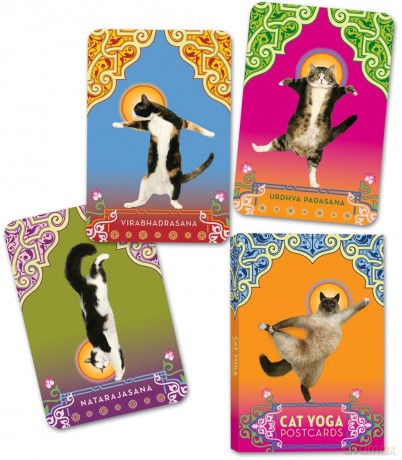 Cat Yoga Postcards - Kathryn Hughes [KSIĄŻKA]
