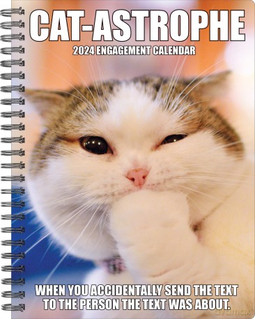 Cat-Astrophe 2024 6.5 X 8.5 Engagement Calendar - Willow Creek Press [KSIĄŻKA]