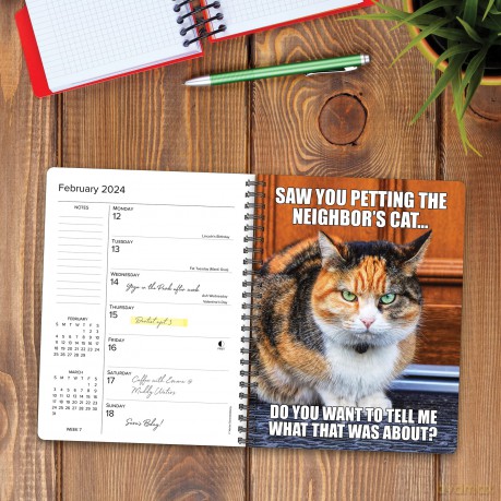 Cat-Astrophe 2024 6.5 X 8.5 Engagement Calendar - Willow Creek Press [KSIĄŻKA]