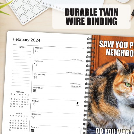 Cat-Astrophe 2024 6.5 X 8.5 Engagement Calendar - Willow Creek Press [KSIĄŻKA]