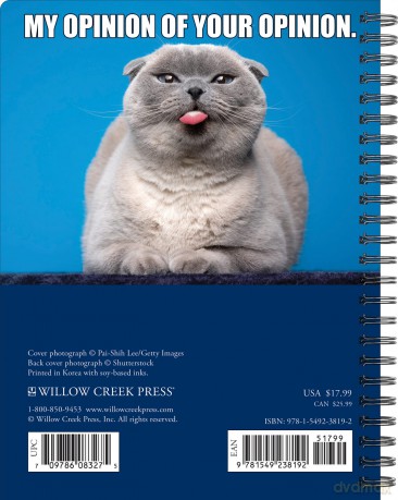Cat-Astrophe 2024 6.5 X 8.5 Engagement Calendar - Willow Creek Press [KSIĄŻKA]