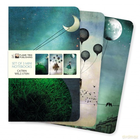 Catrin Welz-Stein Set of 3 Mini Notebooks (Mini Notebook Collections) - Flame Tree Studio [KSIĄŻKA]