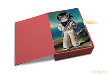 Cats in Art: Box of 20 Notecards - Susan Herbert [KSIĄŻKA]