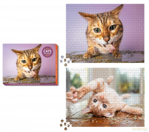 Cats on Catnip 2-in-1 Double-Sided 1,000-Piece Puzzle - Andrew Marttila [KSIĄŻKA]