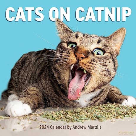 Cats on Catnip Wall Calendar 2024: A Year of Cats Living the High Life and Feeling Niiiiice - Andrew Marttila [KALENDARZ]