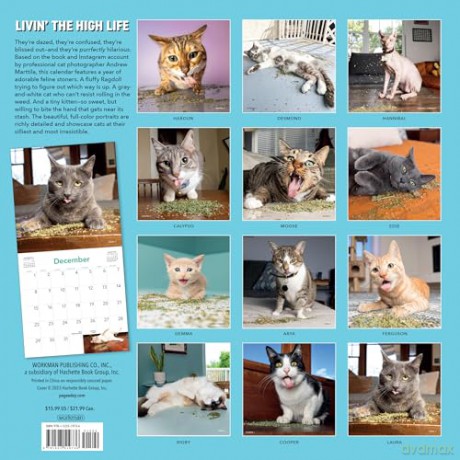Cats on Catnip Wall Calendar 2024: A Year of Cats Living the High Life and Feeling Niiiiice - Andrew Marttila [KALENDARZ]