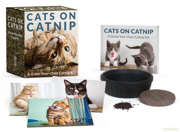 Cats on Catnip: A Grow-Your-Own Catnip Kit - Andrew Marttila [KSIĄŻKA]