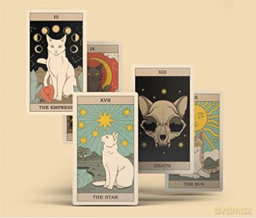 Cats Rule the Earth Tarot: 78-Card Deck and Guidebook for the Feline-Obsessed - Catherine Davidson [KSIĄŻKA]