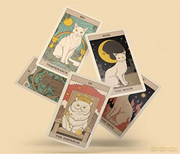 Cats Rule the Earth Tarot: 78-Card Deck and Guidebook for the Feline-Obsessed - Catherine Davidson [KSIĄŻKA]