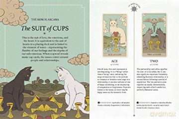 Cats Rule the Earth Tarot: 78-Card Deck and Guidebook for the Feline-Obsessed - Catherine Davidson [KSIĄŻKA]