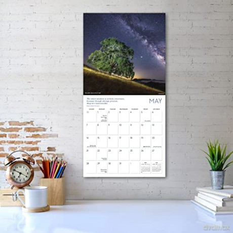 Celestial Skies 2023 16-Month (WALL 16 MONTH) - Paul Kozal [KALENDARZ]
