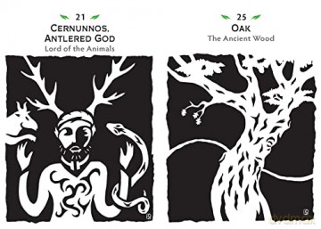 Celtic Healing Oracle: 64 Cards and Guidebook - Rosemarie Anderson [KSIĄŻKA]