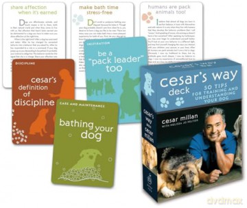 Cesar's Way Deck: 50 Tips for Training and Understanding Your Dog - Kathleen Hanna [KSIĄŻKA]