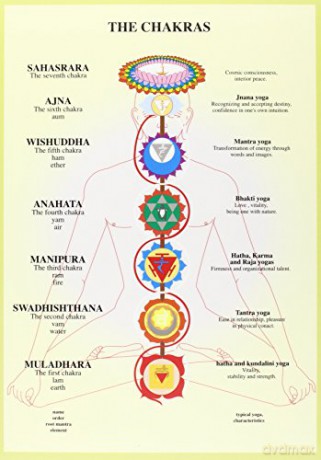 Chakras - Jan van Baarle [KSIĄŻKA]