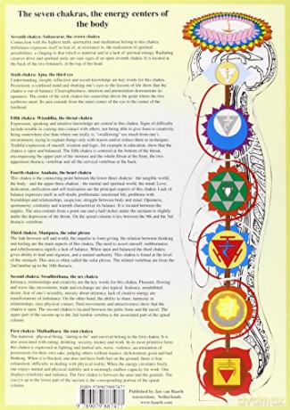 Chakras - Jan van Baarle [KSIĄŻKA]