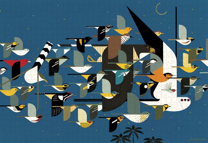 Charley Harper - Mystery of the Missing Migrants: 1,000 Piece Puzzle (CHARLEY HARPER JIGSAW PUZZLE) - Inc. Pomegranate Communications [KSIĄŻKA]