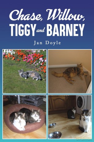 Chase, Willow, Tiggy and Barney - Jan Doyle [KSIĄŻKA]